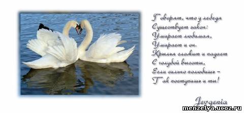 закон лебедя
