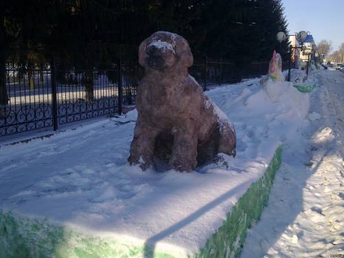 Снежный пес
