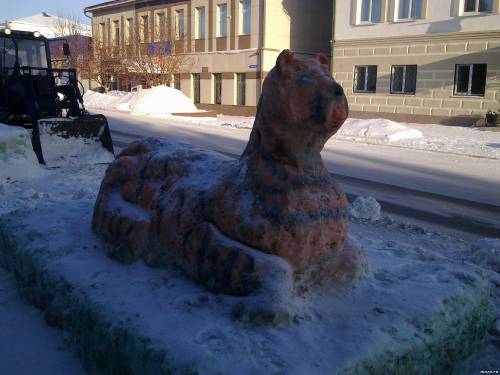 Тигр снежный