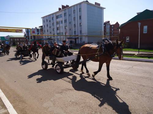 Колонна лошадей с повозками на параде 9 мая