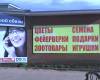 Цветы, семена, фейерверки, подарки, зоотовары ...