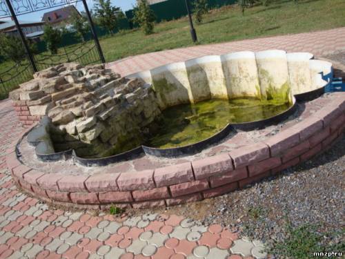Интересно, лягушки там есть
