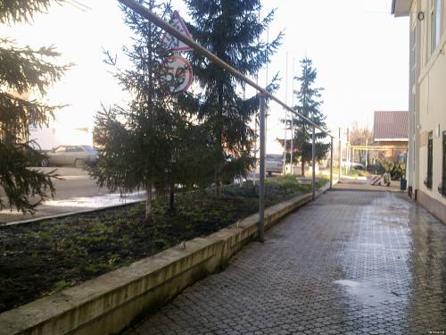Мензелинск 13.11.2013 г. Ели у тротуара, ул Черныш