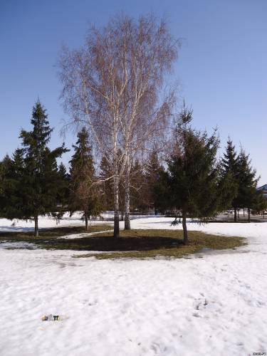 Весна в Мензелинске, 3 апреля 2013 год