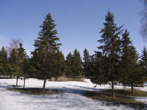 Весна в Мензелинске, 3 апреля 2013 год
