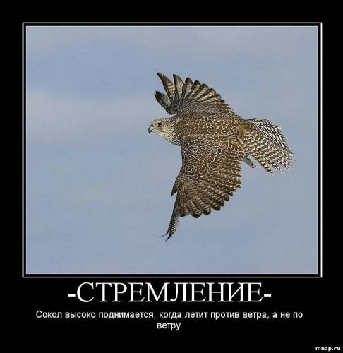 Стремление