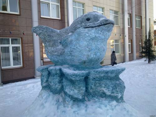 Дельфин снежный 2014