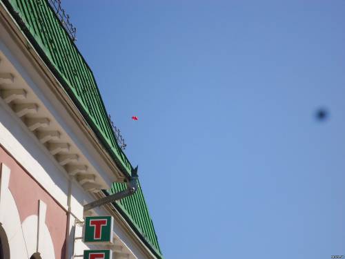 DSC02290
