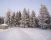 Ели в инее, парк М Джалиля, 19.12.12