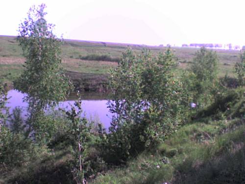 Река, Актанышский р-он, Шарипово