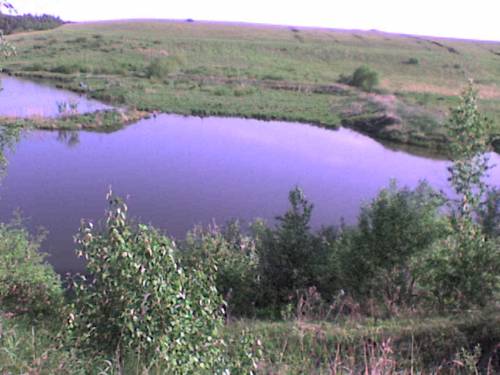 Река, Актанышский р-он, Шарипово