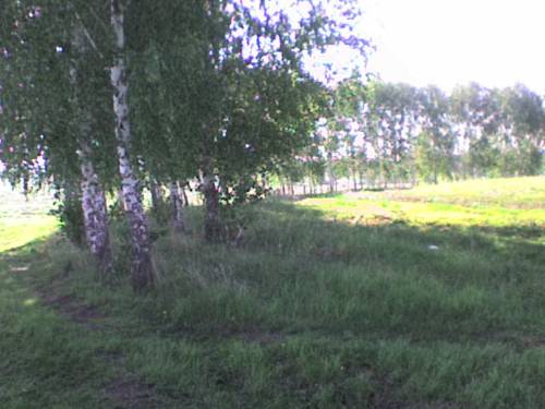 Река, Актанышский р-он, Шарипово